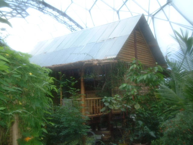 [hut at Eden[2].jpg]